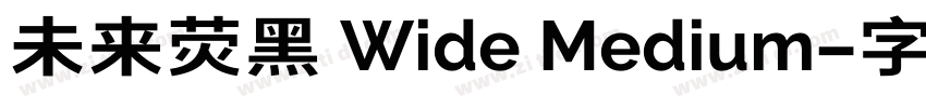 未来荧黑 Wide Medium字体转换